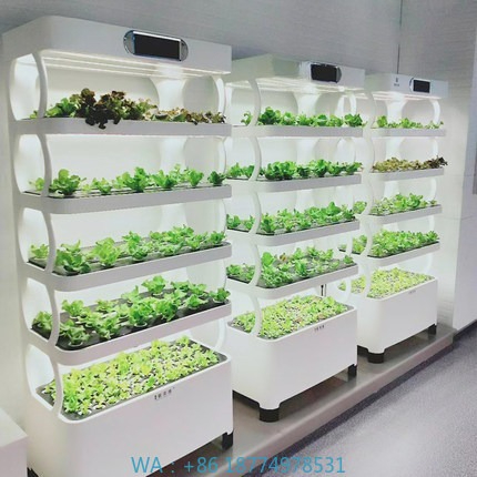 ระบบปลูกพืชไฮโดรโปนิกส์อัตโนมั - Home Automation Systems Diy บทวิจารณ์และราคา